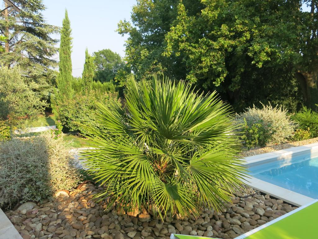 Mas De Mariette Bed and Breakfast Noves Zewnętrze zdjęcie